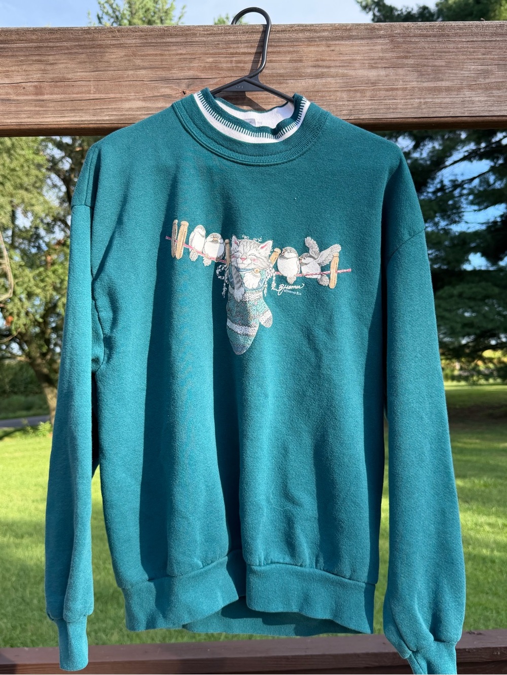Men's Teal Crewneck Sweater with Ski Cat Graphic